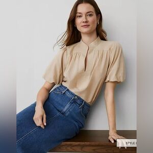 Ann Taylor Tan Blouse with Mandarin Collar and Pleated Style
